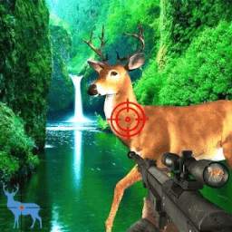 Animal Hunting Simulator: Jungle Deer Hunter Game