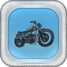 ikon Wrong Way Racing Moto