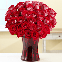 Rose Flowers Wallpaper أيقونة