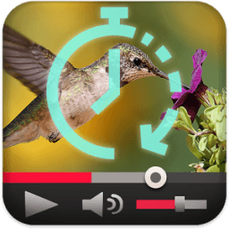 ikon Slow Motion Fast Forward Video