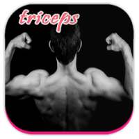 Triceps Workout Guide