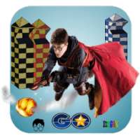 Flying Potter Go : Quidditch Challenge