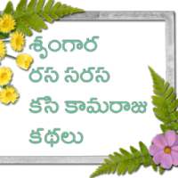 Telugu Sarasam Stories иконка