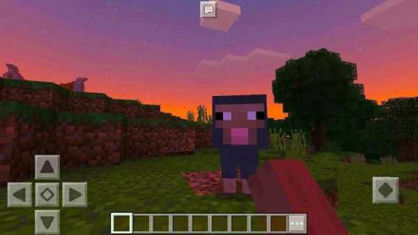 Survival House. MCPE map! 4 تصوير الشاشة
