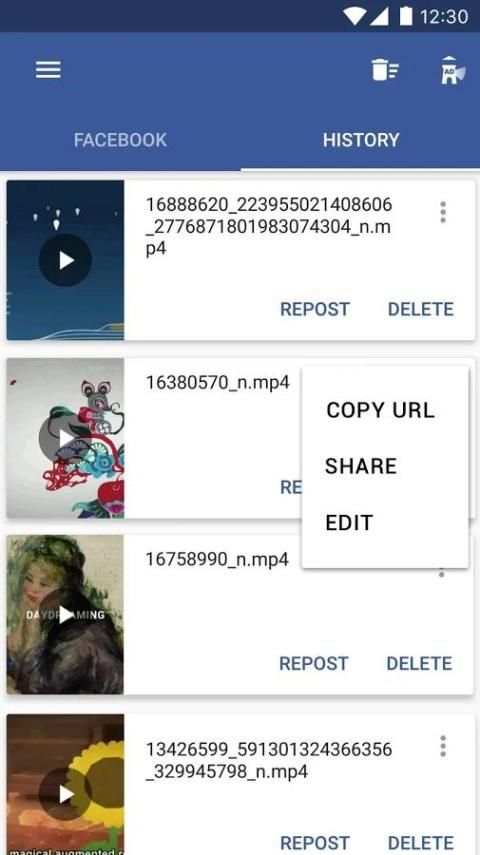 Facebook Video Downloader screenshot 1