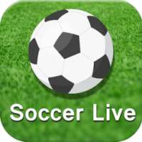Soccer live score