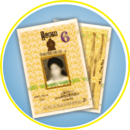 SL ID Card Info icon