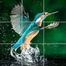 ikon Nice Birds Puzzle