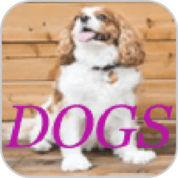 Dogs Photo Editor أيقونة