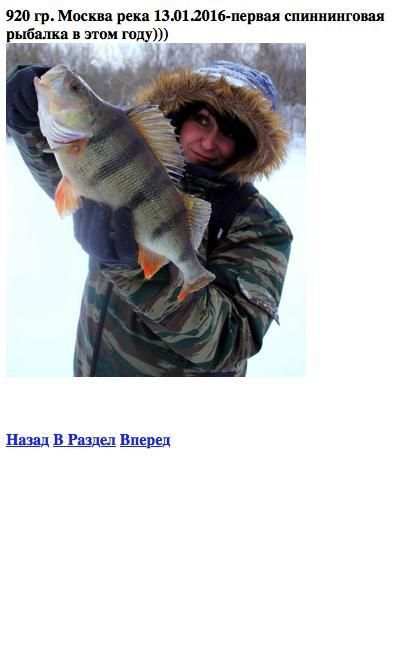 Обои про рыбалку