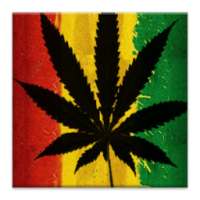 Go SMS Pro Rasta Weed