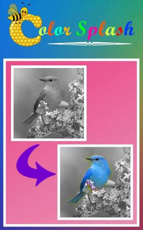 Color Splash Effect screenshot 5