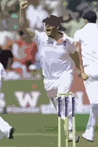 Cricket HD T20 screenshot 3