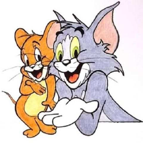 Tom स्क्रीनशॉट 1