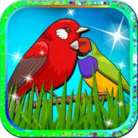 रंग भरने वाली किताबें