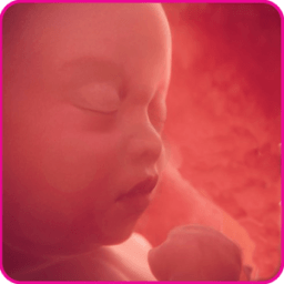 Pregnancy Friend App आइकन