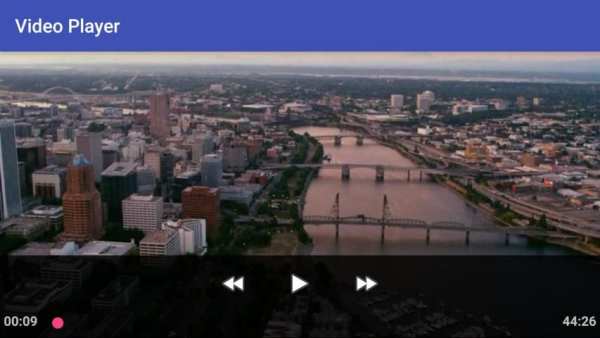Video Downloader screenshot 1