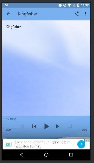 Bird Sounds скриншот 1