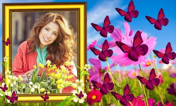 Butterfly Photo Frames screenshot 2