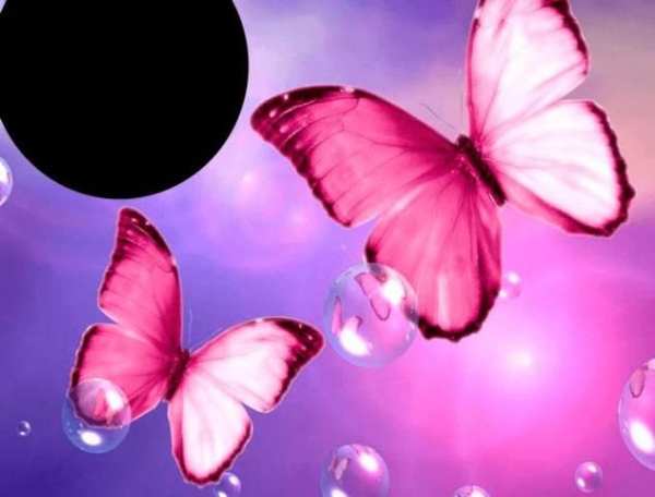 Butterflies Photo Frames screenshot 1