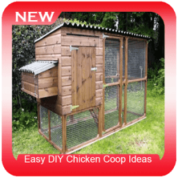 Easy DIY Chicken Coop Ideas أيقونة