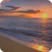 Sunset Beach Live Wallpaper logo
