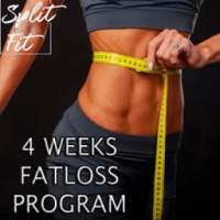 Home Fatloss : 4 Weeks Plan