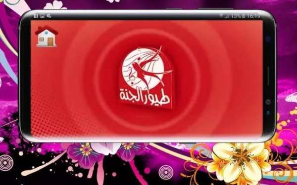 طيور الجنة فيديو بدون انترنت screenshot 7