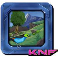 Rescue The Birds Escape