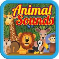 Learn Animal Sounds