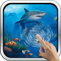 Interactive Shark