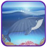Anti Blue Whale Challenging Game أيقونة