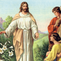 Bible stories иконка