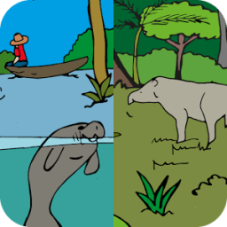 Amazônia - a várzea e a floresta de terra firme icon