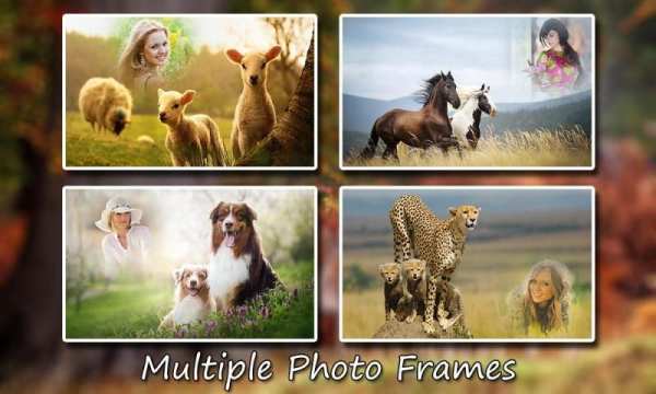 Animal Photo Frames screenshot 1
