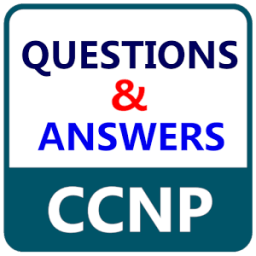 CCNP Question &amp; Answer आइकन