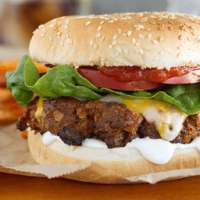 Burger Recipes App
