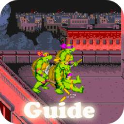 Guide Ninja 1