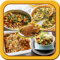 ikon Delicious Indian Recipes