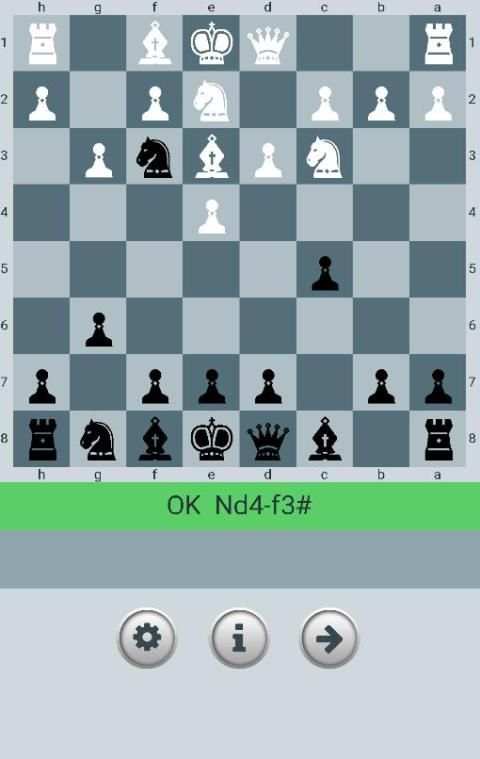 Mate In One 10 تصوير الشاشة