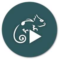 Stellio Material Theme