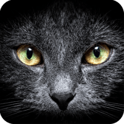 Find a Cat - Hidden Objects أيقونة