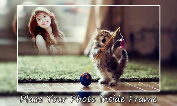 Cat Photo Frames screenshot 3