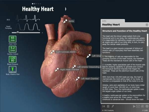 bodyxq heart скриншот 4