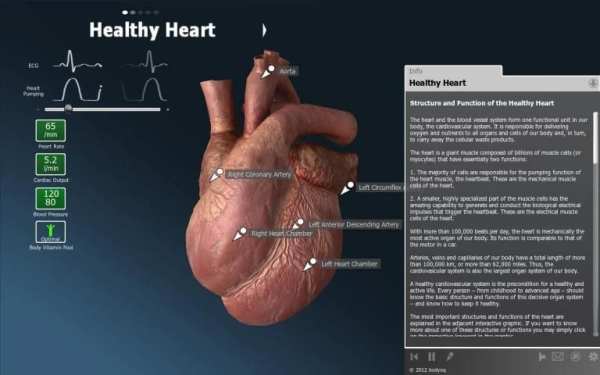 bodyxq heart скриншот 12