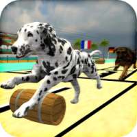 Lava Hound Racing Competition: How to win dog race