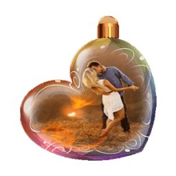 ikon Camera PIP Edit free