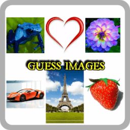 Image Quiz - Guess icon