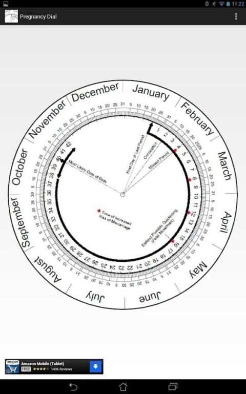 Pregnancy Calculator (Wheel) screenshot 2