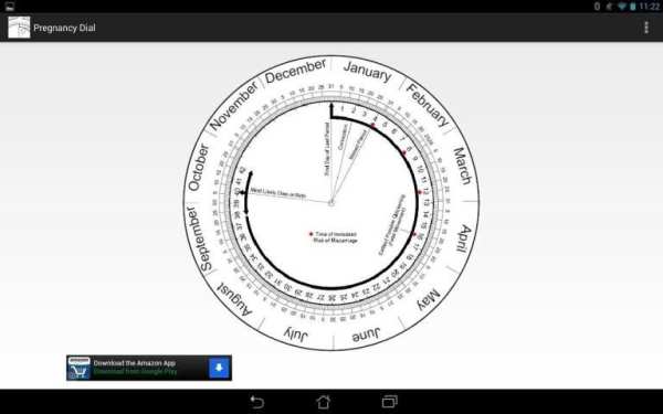 Pregnancy Calculator (Wheel) screenshot 3